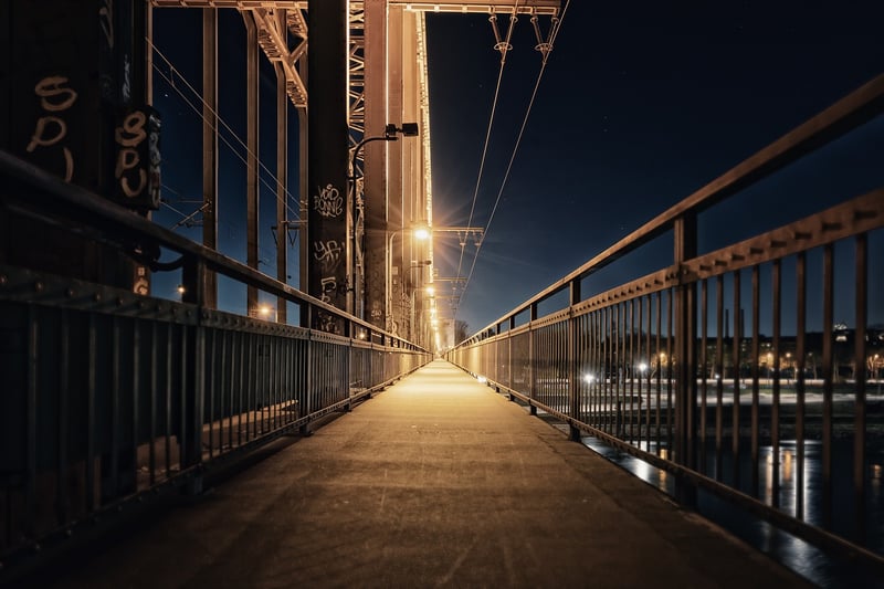 Moonlit Pathway