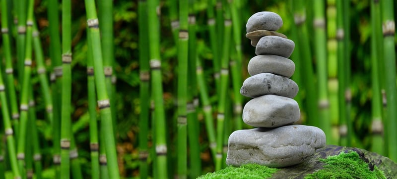 Zen Garden Retreat